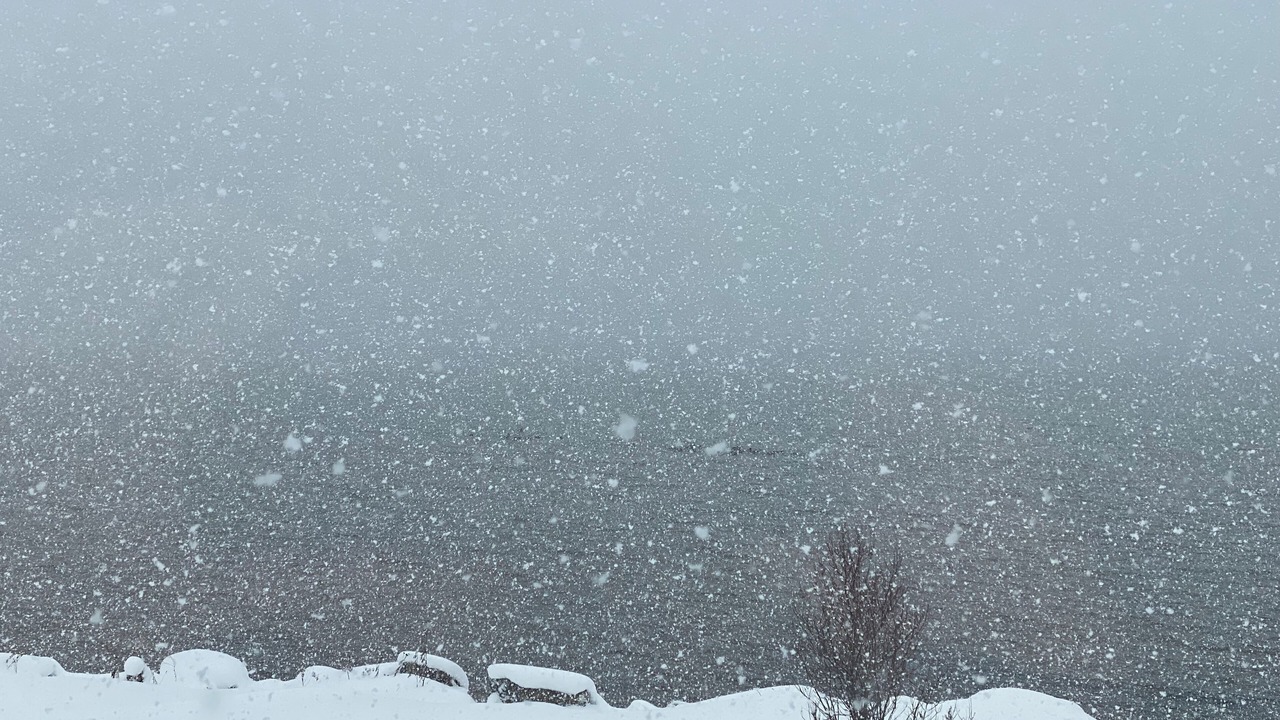 Photo of Others in Baraga