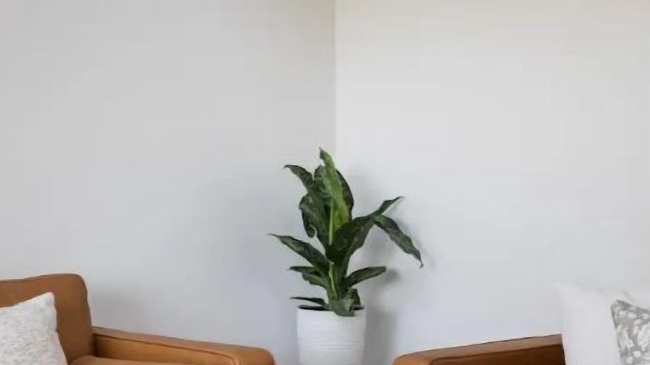 Photo of Livingroom in Traverse City