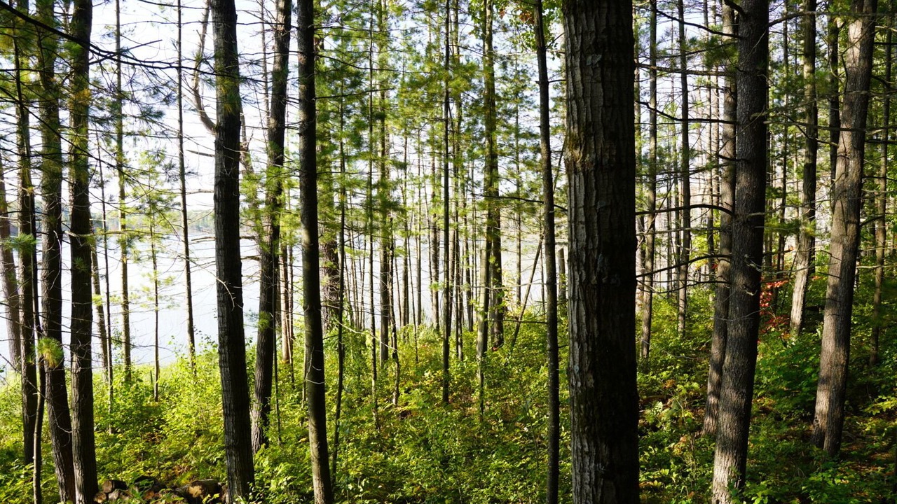Photo of Others in Elmira