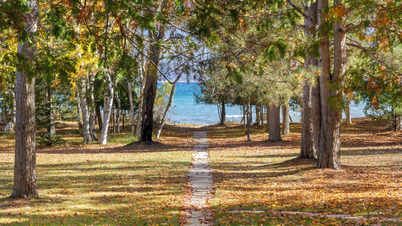 Photo of Outdoor in Frankfort