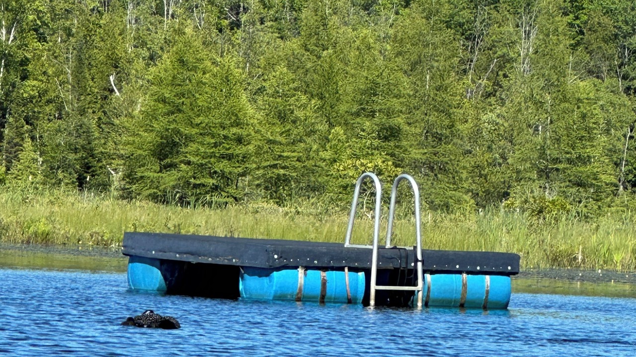 Photo of Others in Lake