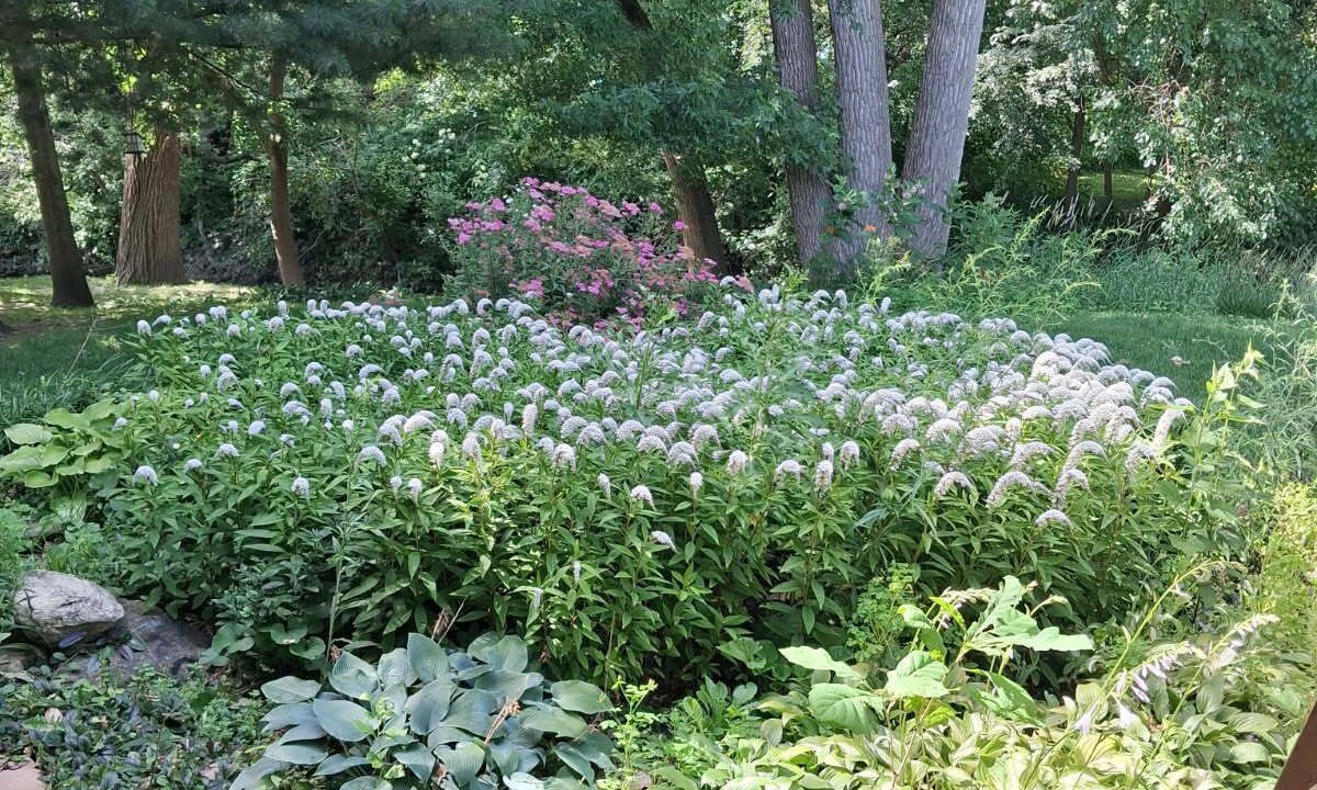 Photo of Outdoor in Portage