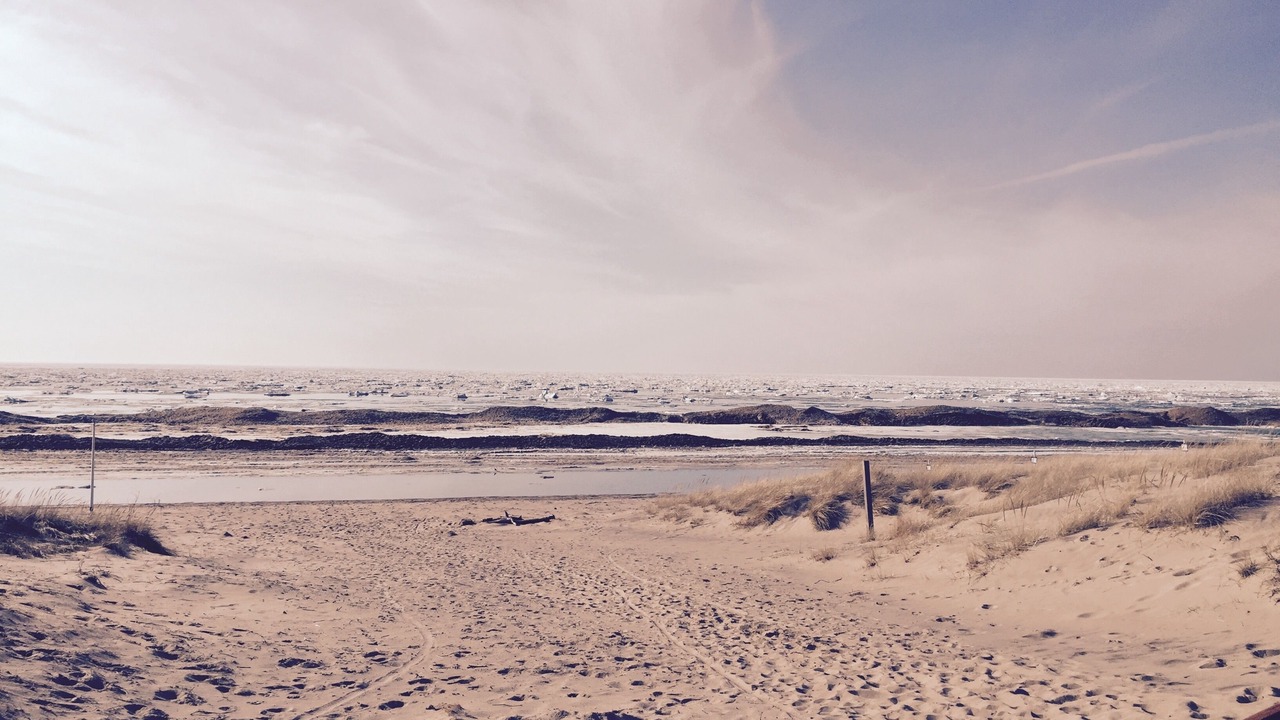 Photo of Others in South Haven