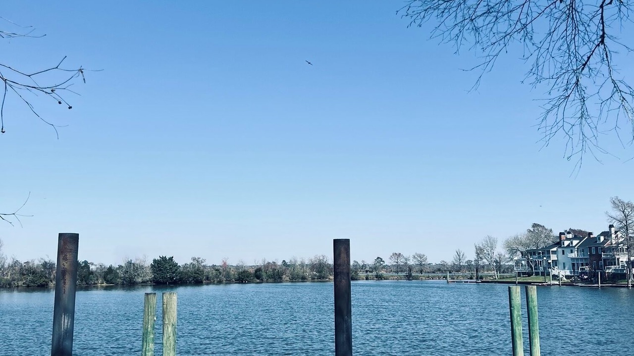 Photo of Outdoor in Saint Tammany Parish