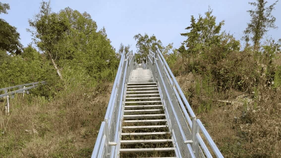 Photo of Others in Miami Park