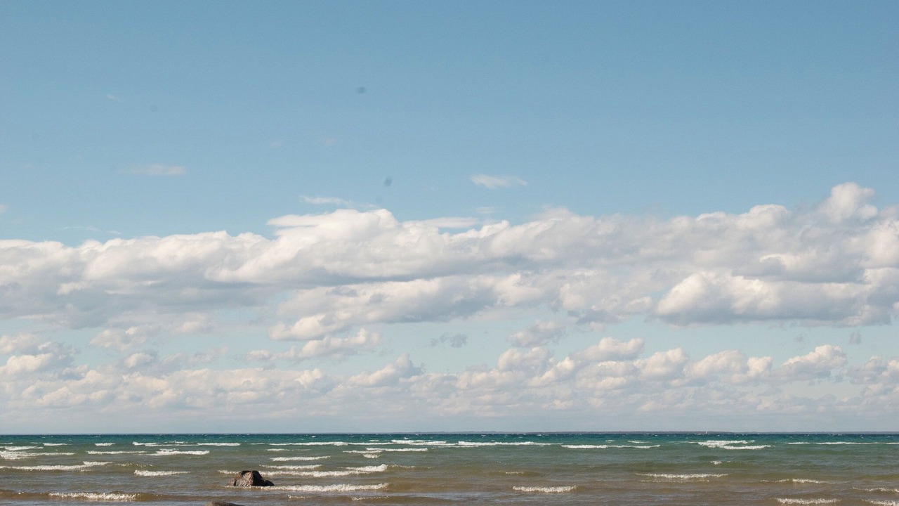 Photo of Others in Carp Lake