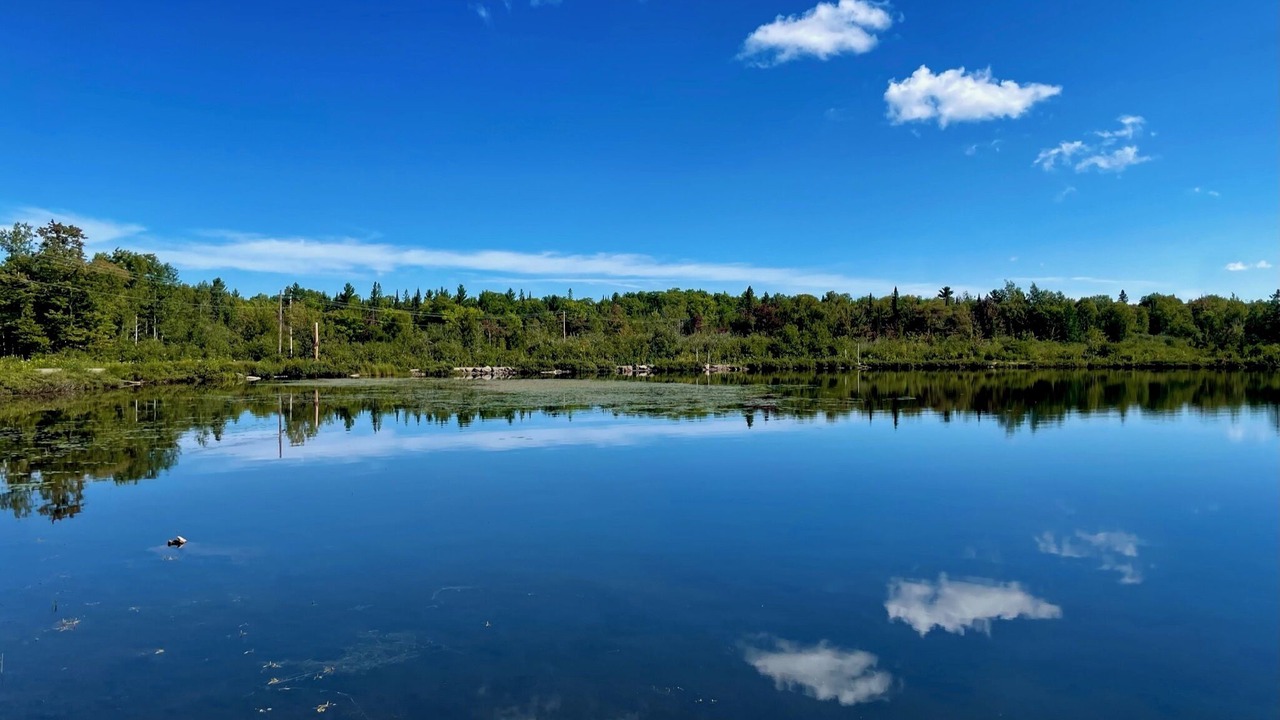 Photo of Others in Eagle River