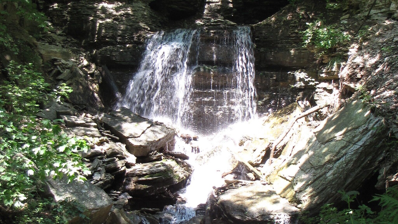 Photo of Others in Decorah