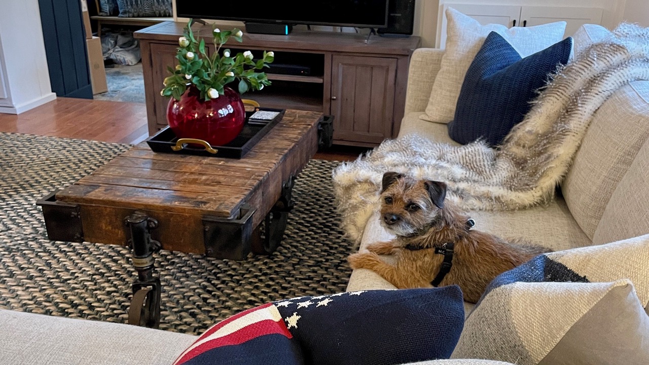 Photo of Livingroom in Saugatuck