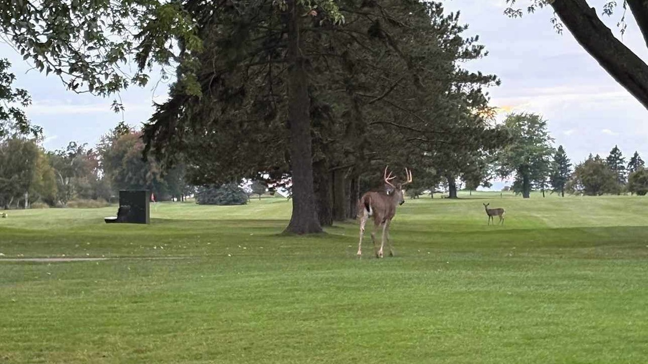Photo of Others in Traverse City