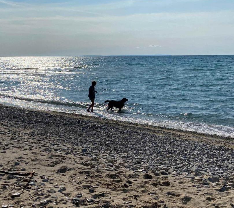 Photo of Others in Northport