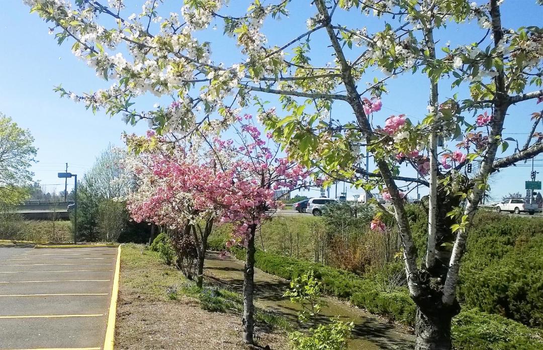Photo of Outdoor in Beaverton