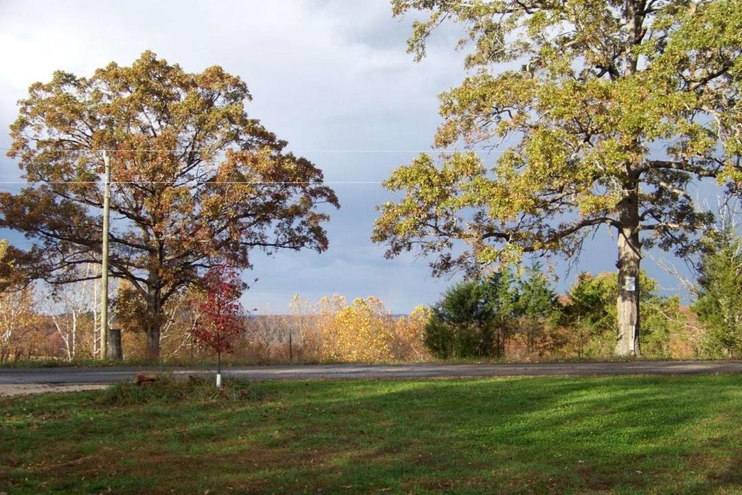 Photo of Others in Steelville