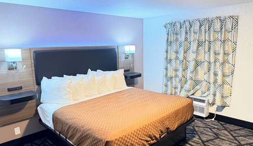 Pine Standard Single Room, 1 King Bed Pet Friendly