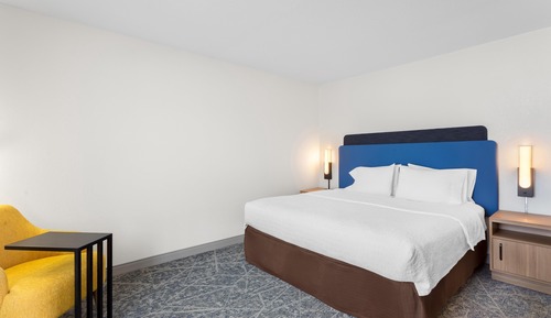 Room, 1 King Bed, Accessible, Non Smoking (Hearing, Shower Only)