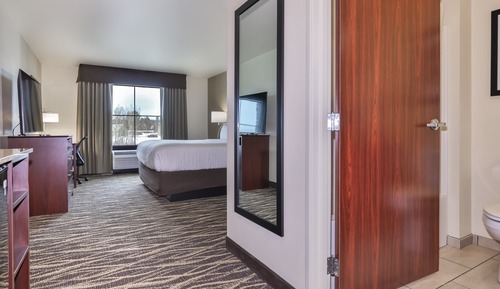 Room, 1 King Bed, Non Smoking (Guestroom)
