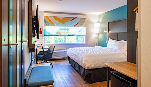 Room, 1 King Bed