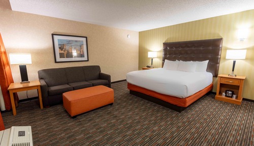 Room, 1 King Bed with Sofa bed (Sofa Sleeper)