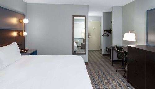 Room, 1 King Bed, Accessible, Non Smoking (Roll-In Shower)