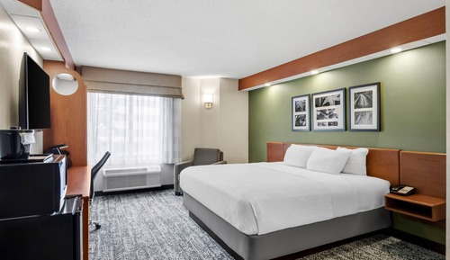 Standard Room, 1 King Bed, Non Smoking