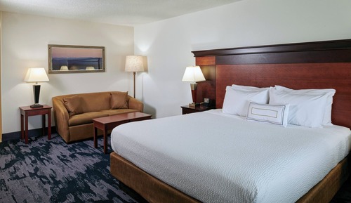Room, 1 King Bed with Sofa bed