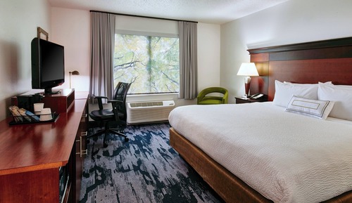 Room, 1 King Bed