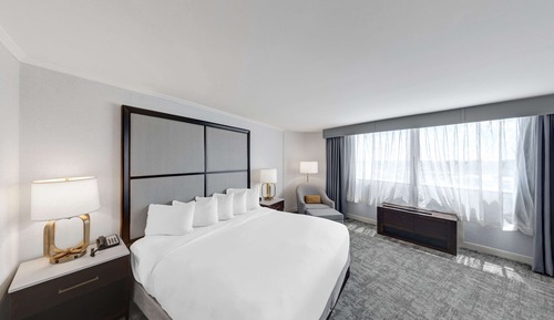 Room, 1 King Bed, City View