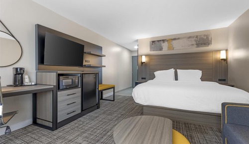 Standard Room, 1 King Bed, Non Smoking (with Single Sofabed)