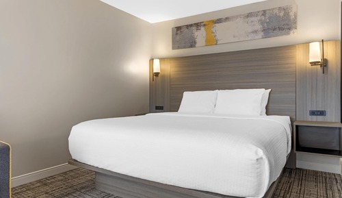 Standard Room, 1 King Bed, Non Smoking, Terrace (with Single Sofabed)