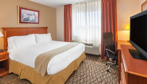 Room, 1 King Bed, Non Smoking