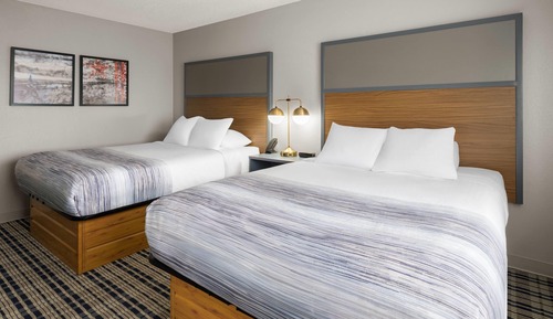 Deluxe Room, 2 Queen Beds, Non Smoking (Pet Friendly)