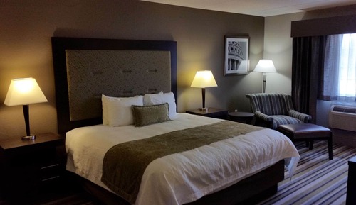 Standard Room, 1 King Bed, Non Smoking, Refrigerator & Microwave