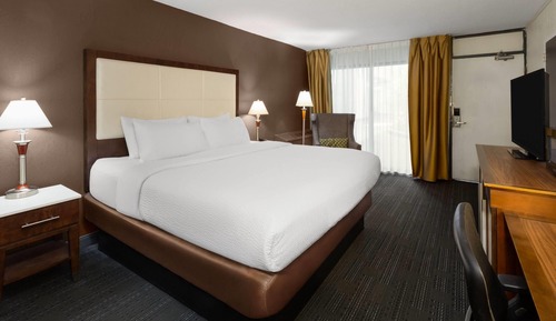 Room, 1 King Bed, Non Smoking (Atrium)