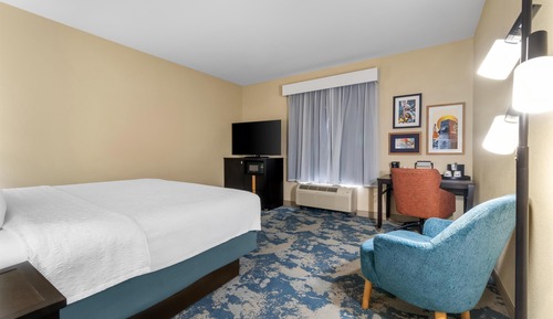 Room, 1 King Bed, Non Smoking, Refrigerator