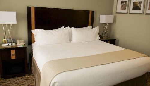 Standard King Room with Mobility Accessible Tub
