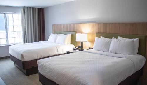 Queen Suite with Two Queen Beds - Disability Access/Non-smoking