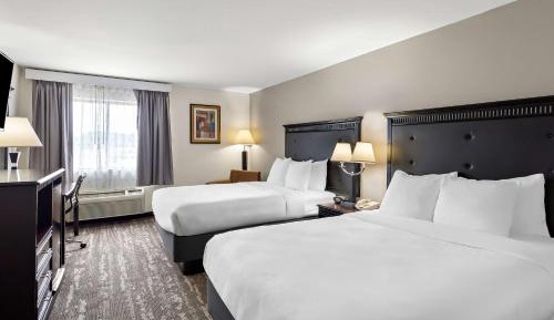 Queen Room with Two Queen Beds - Pet Friendly/Non-Smoking