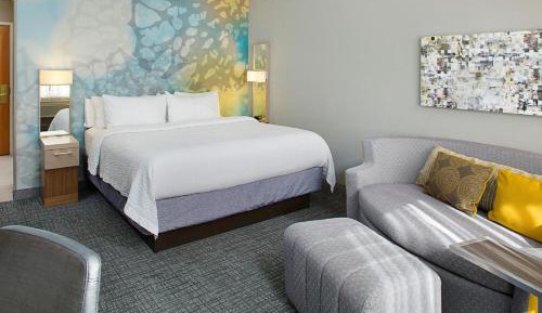 King Room with Roll-In Shower and Sofa Bed - Mobility Access/Hearing Accessible