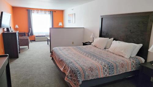 King Suite - Not Pet Friendly