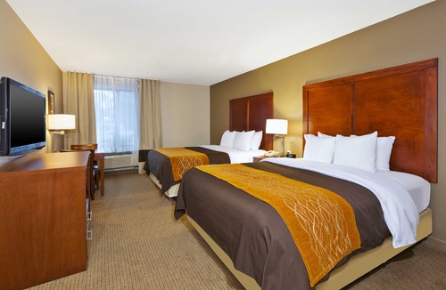 Taylor Hotel | Comfort Inn & Suites Taylor