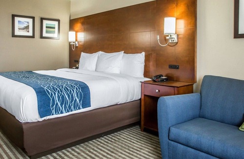 Hammond Hotel | Comfort Inn Hammond I-94