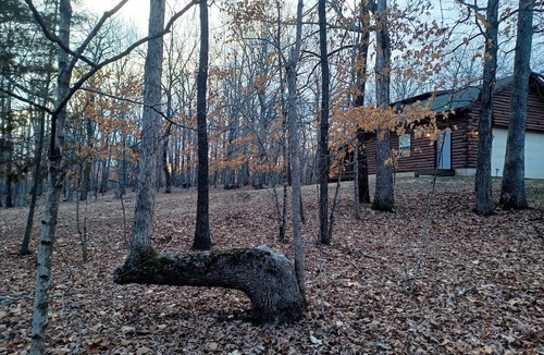 Blackwell Cabin | Rustic Cabin Escape for Group Glamping Vacations in De Soto, Missouri