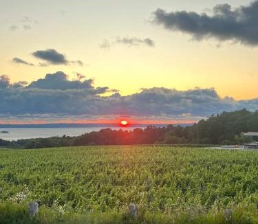 Traverse City House | Heart of Traverse City Condo near Hospital