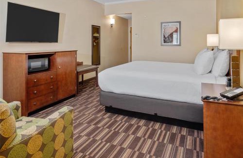 Bowling Green Hotel | Best Western Falcon Plaza - Bowling Green