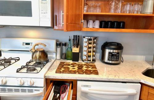 Bridgeport Apartment | Bridgeport Place - free parking, McCormick Place-Sox Park