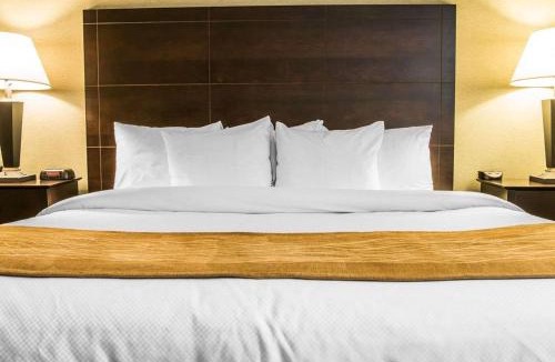 Whitehall Hotel | Comfort Inn Whitehall near Michigan's Adventure