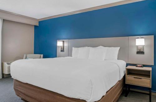 Plainwell Hotel | Comfort Inn Plainwell