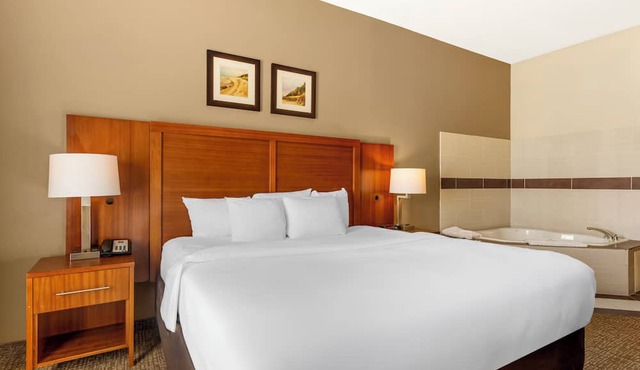 Comfort Inn & Suites Porter near Indiana Dunes