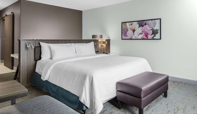 Hilton Garden Inn Detroit Utica