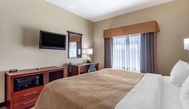 Comfort Inn & Suites Carbondale University Area